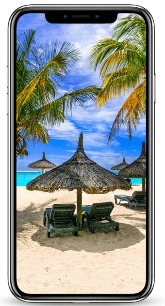 Luxury Island Holiday Image with Palm Trees
